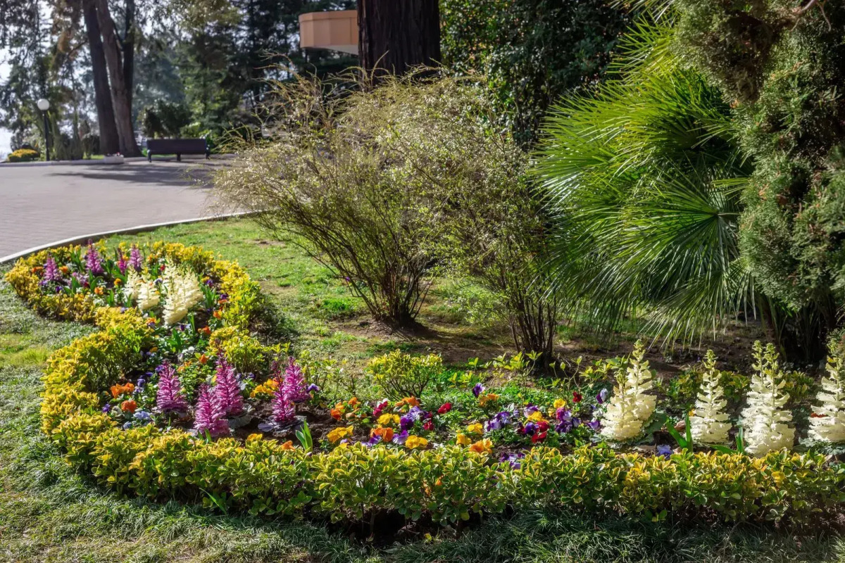 Санаторий Беларусь