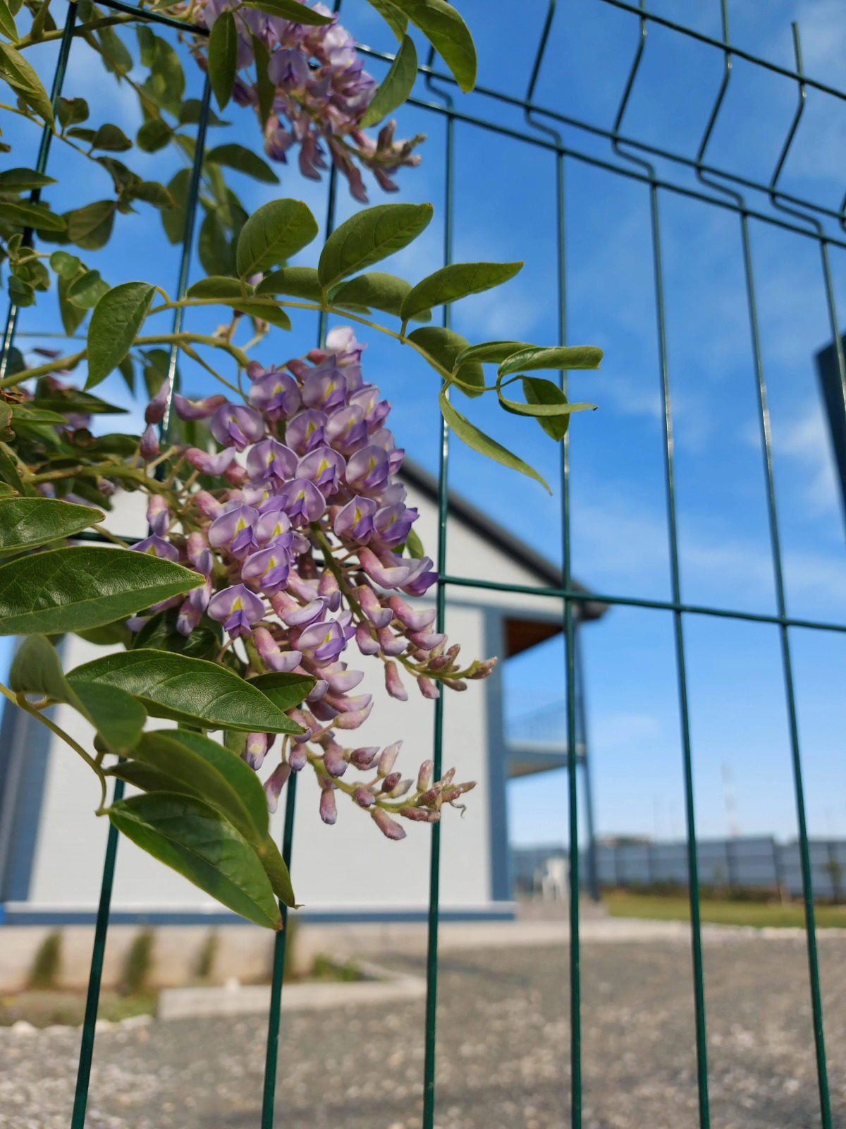 Гостевой дом О'Lень