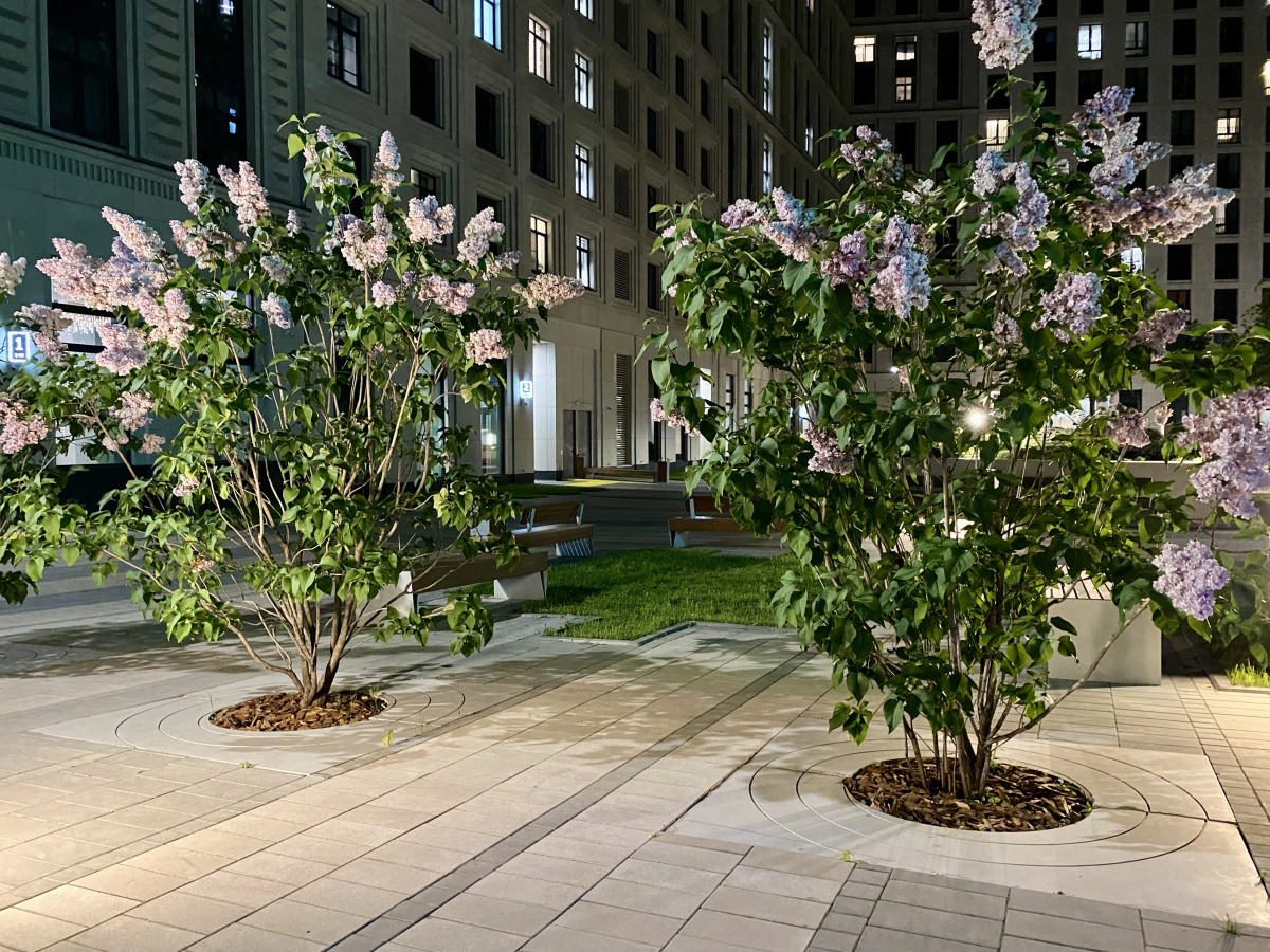 Апартаменты Comfort & Relax Home  in Silver fountain