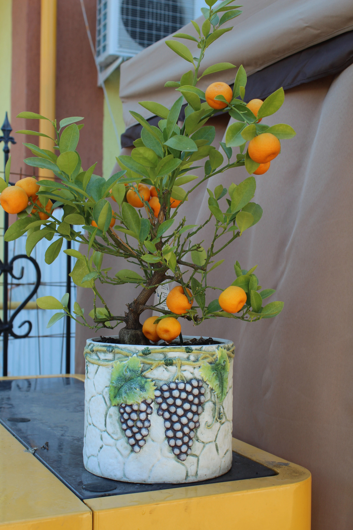 Гостевой дом В гостях у Джулии