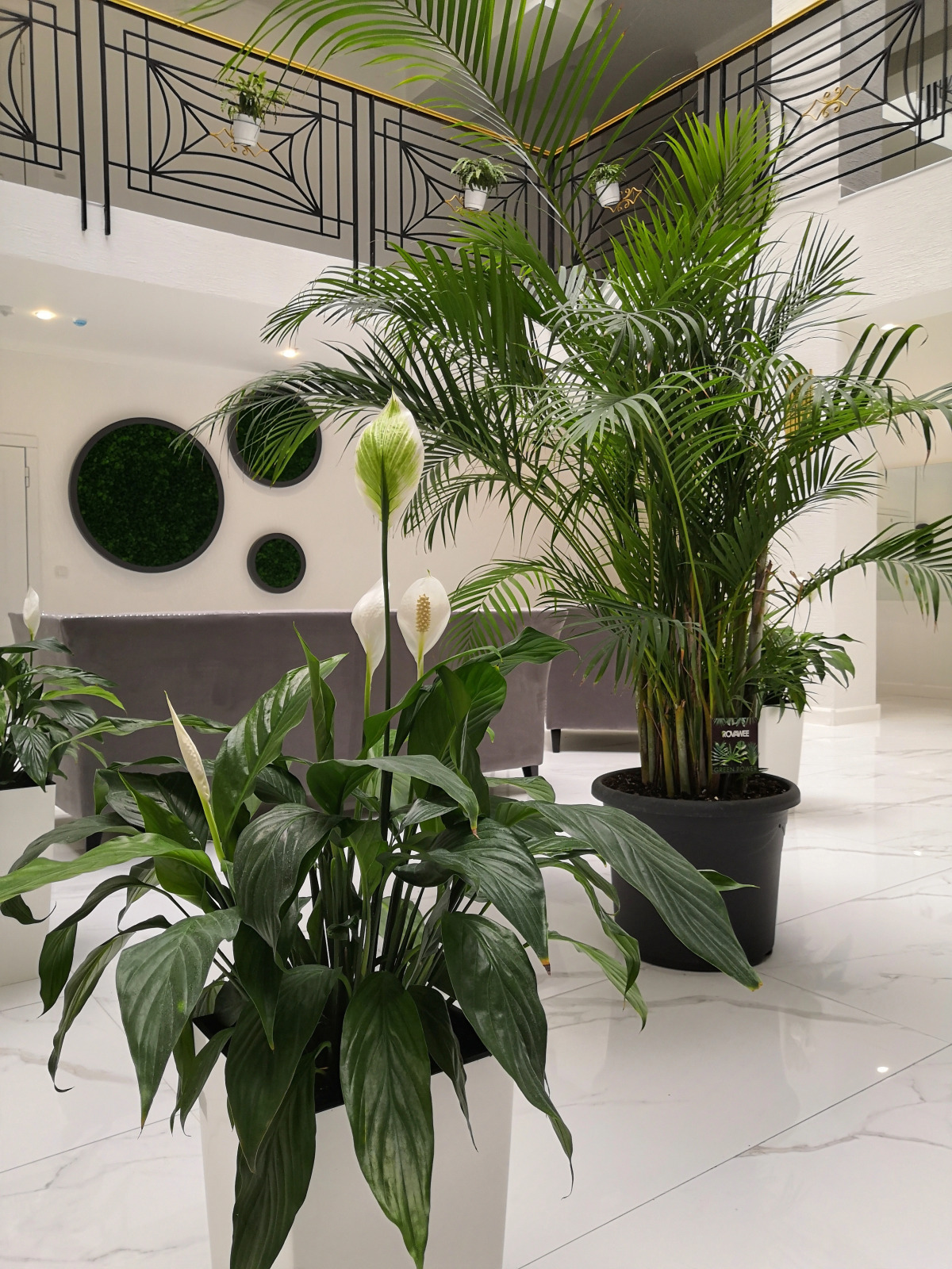 Апартаменты Штольц в Светлогорске