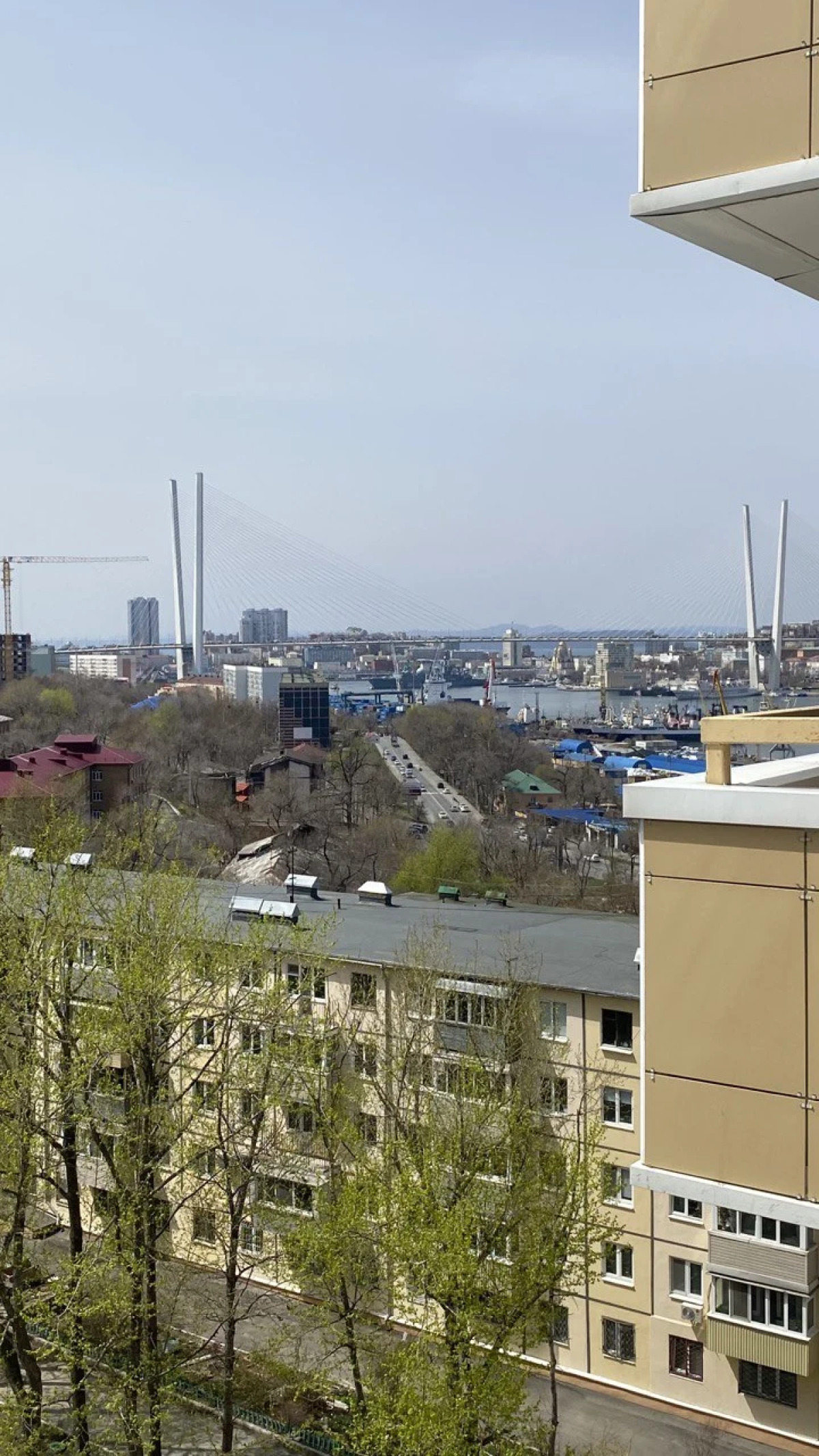 Квартира ЖК Современник