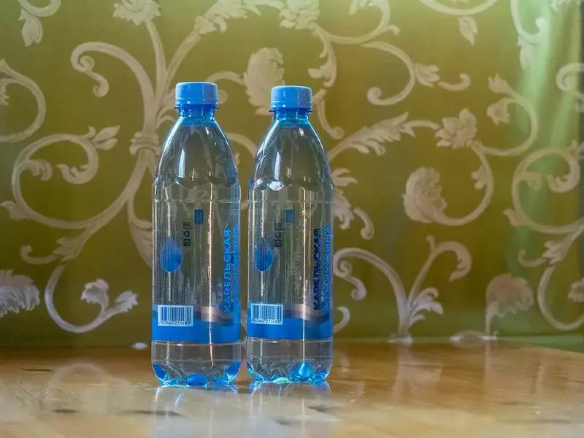 База Отдыха Лесное Озеро