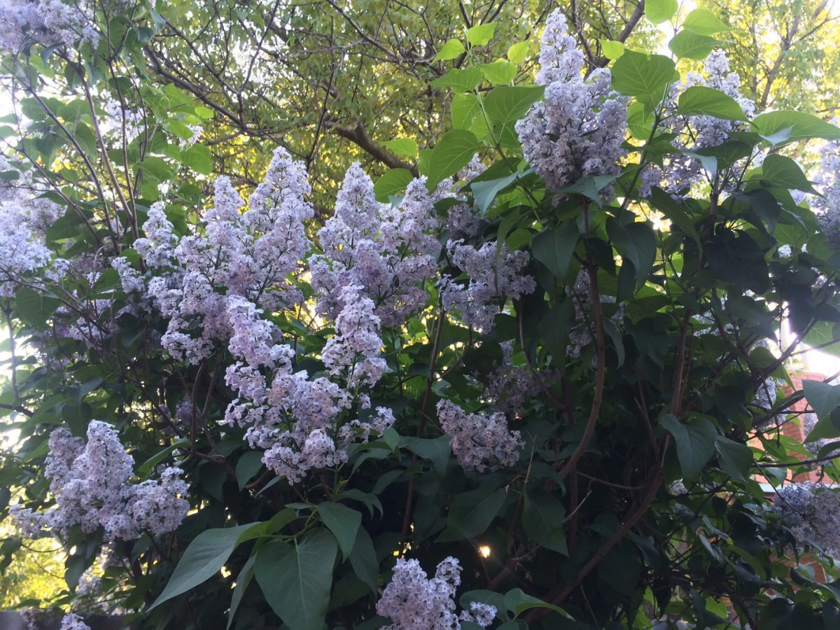 Гостевой Дом на Куйбышева