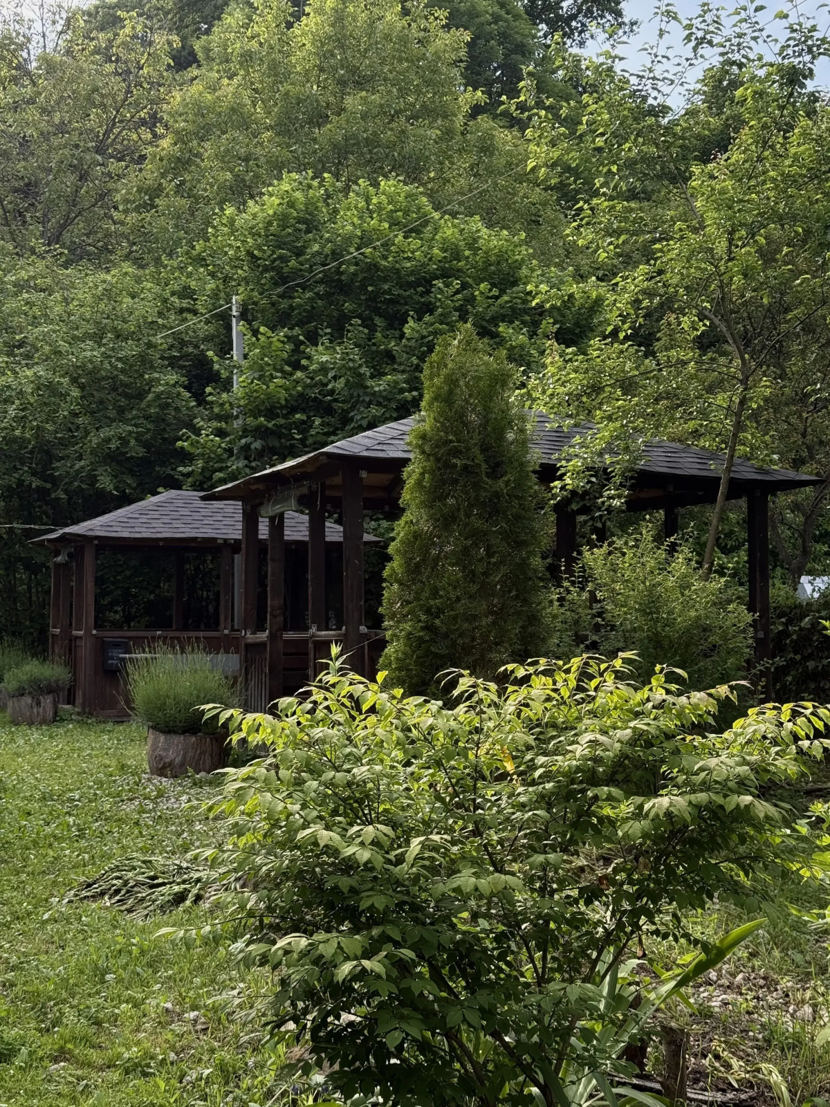 Гостевой дом Горная Лаванда