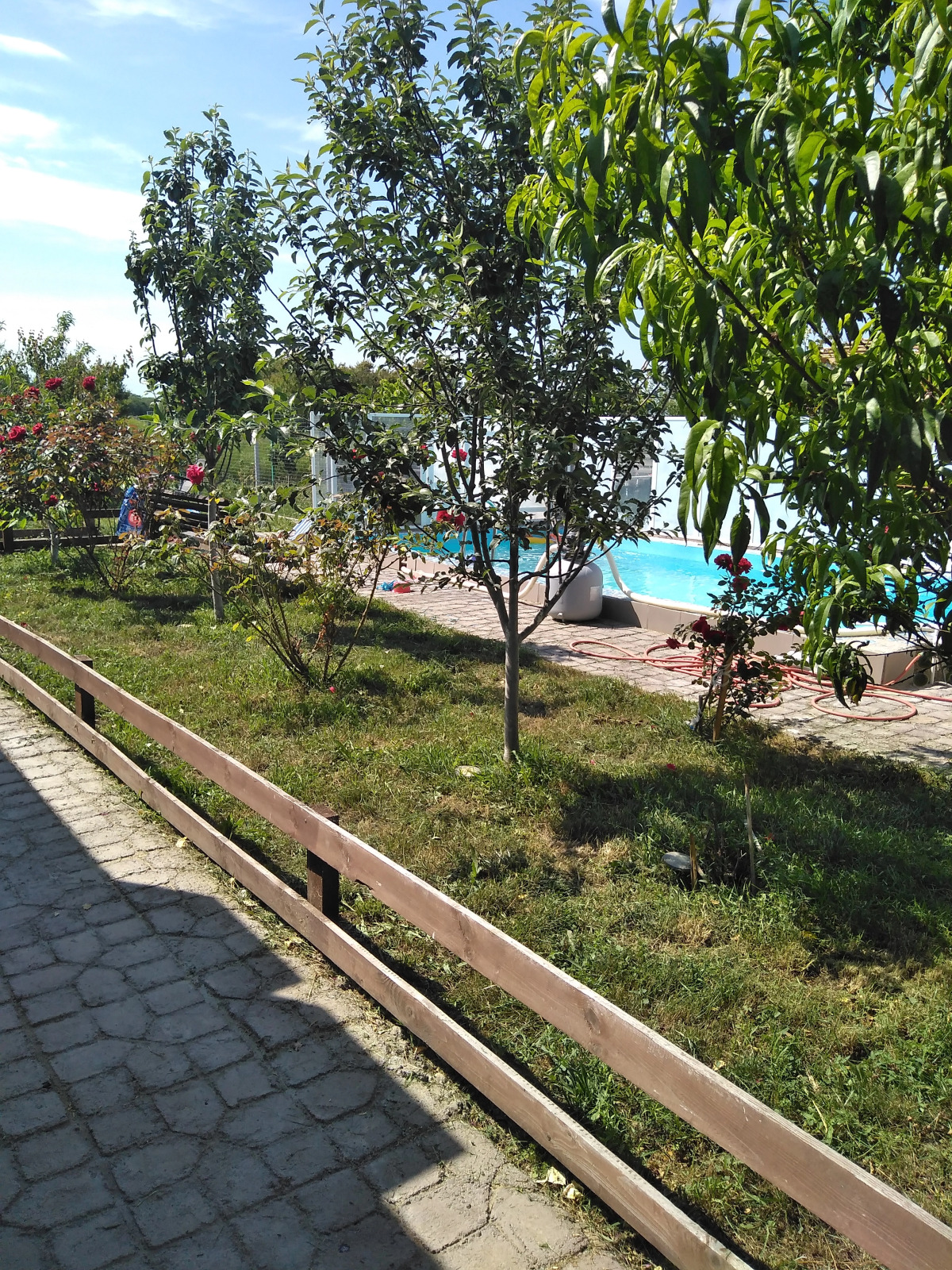 Звезда Азова