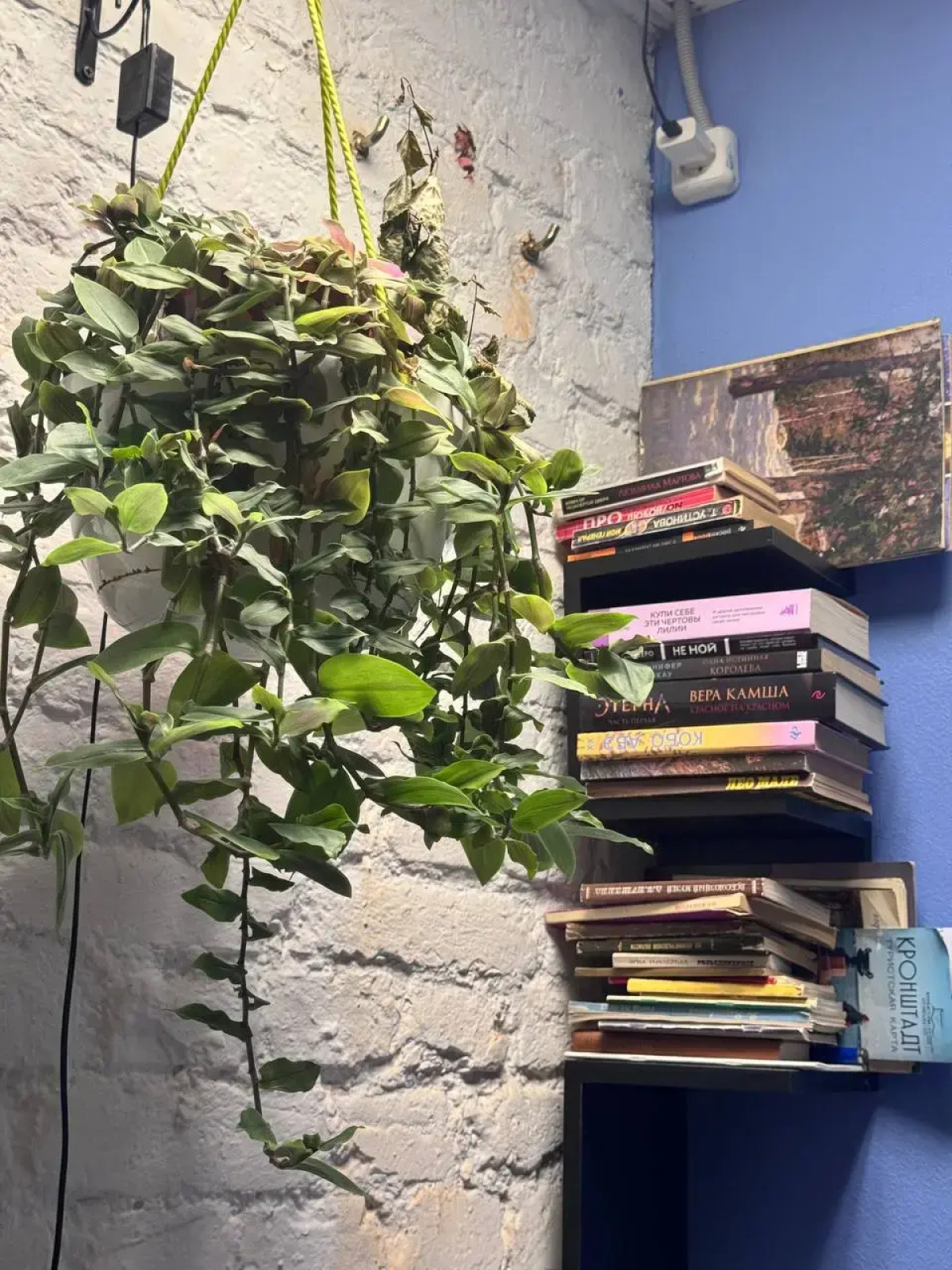 Меблированные комнаты на Жуковского