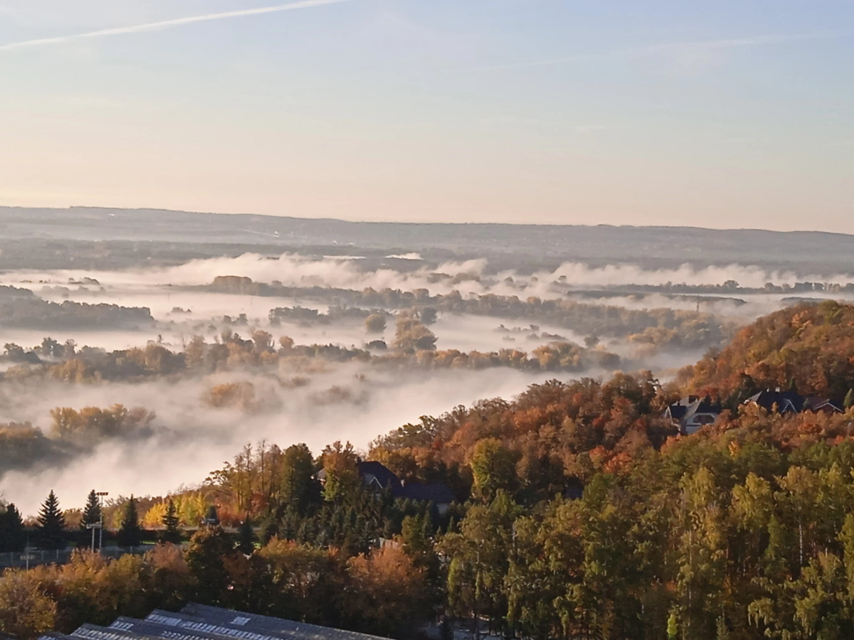 Квартира Уютная у Венского леса и санатория Зелёная Роща