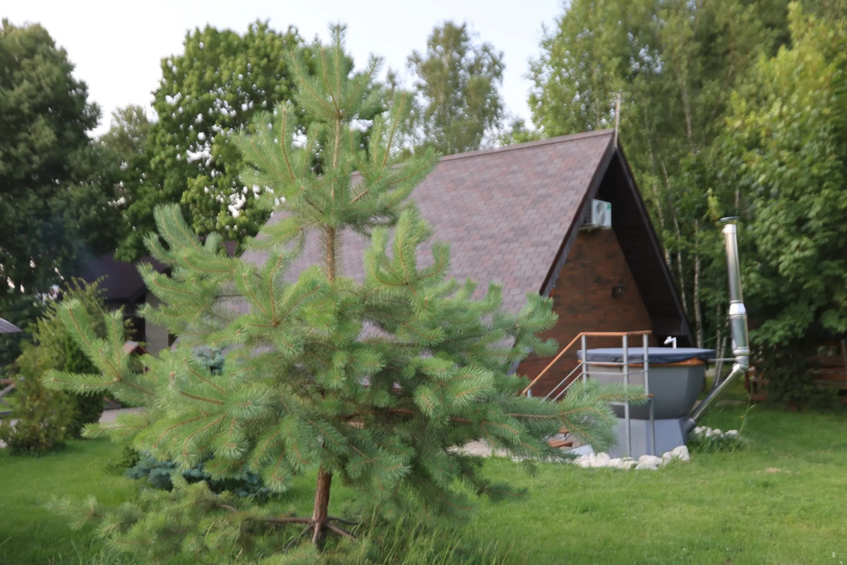 Гостевой дом Загородный Комплекс Слобода