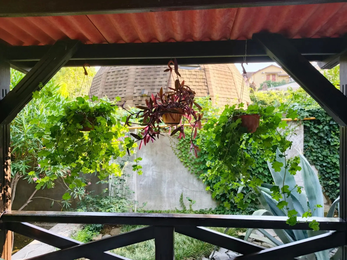 Гостевой дом Бамбуковый Рай