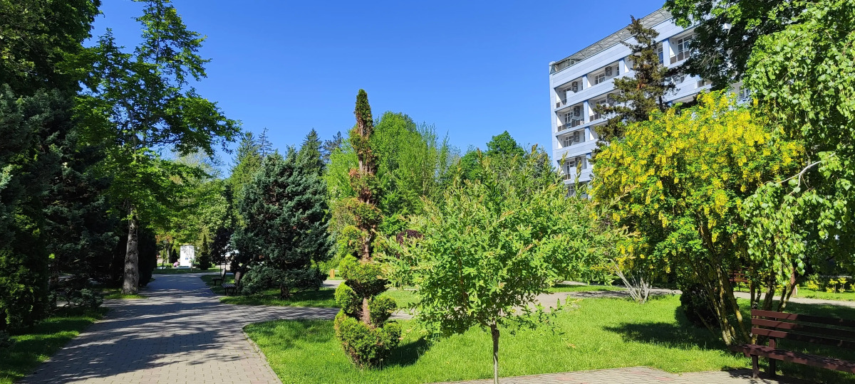 Квартира с видом на Горы