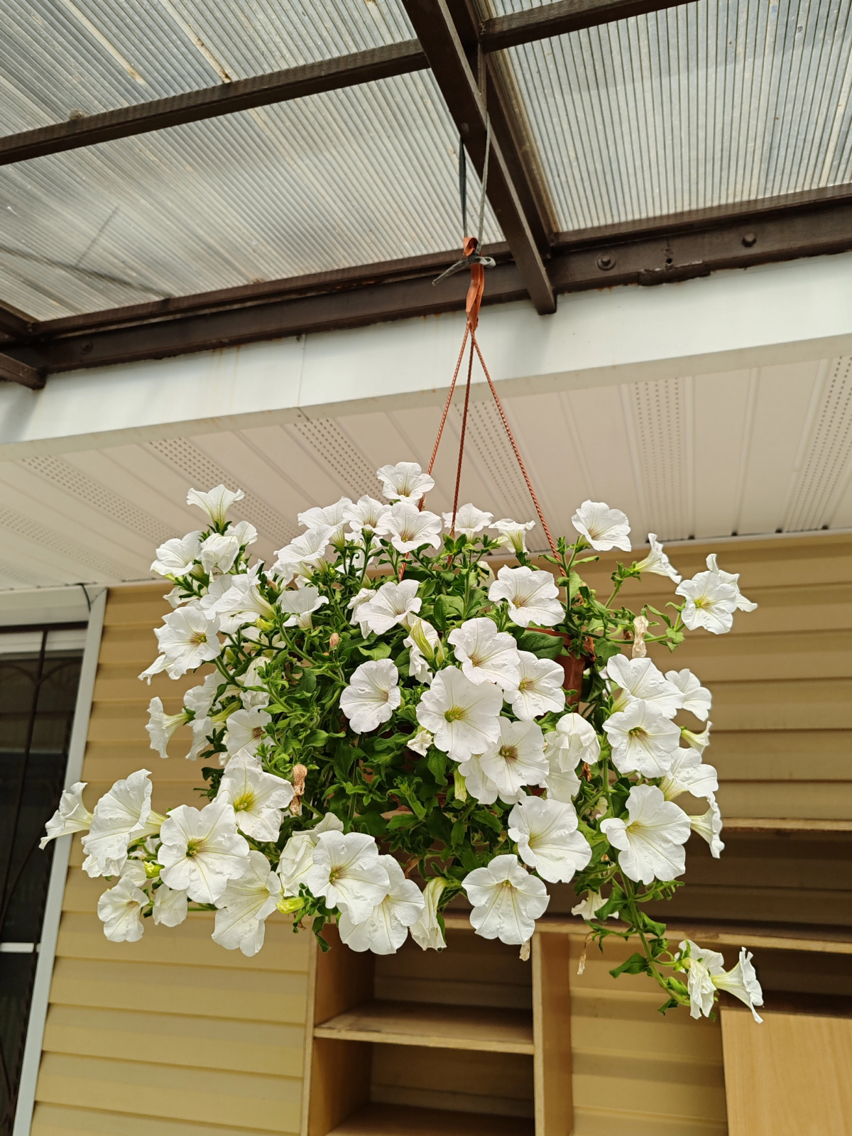 Гостевой дом на Цитрусовой