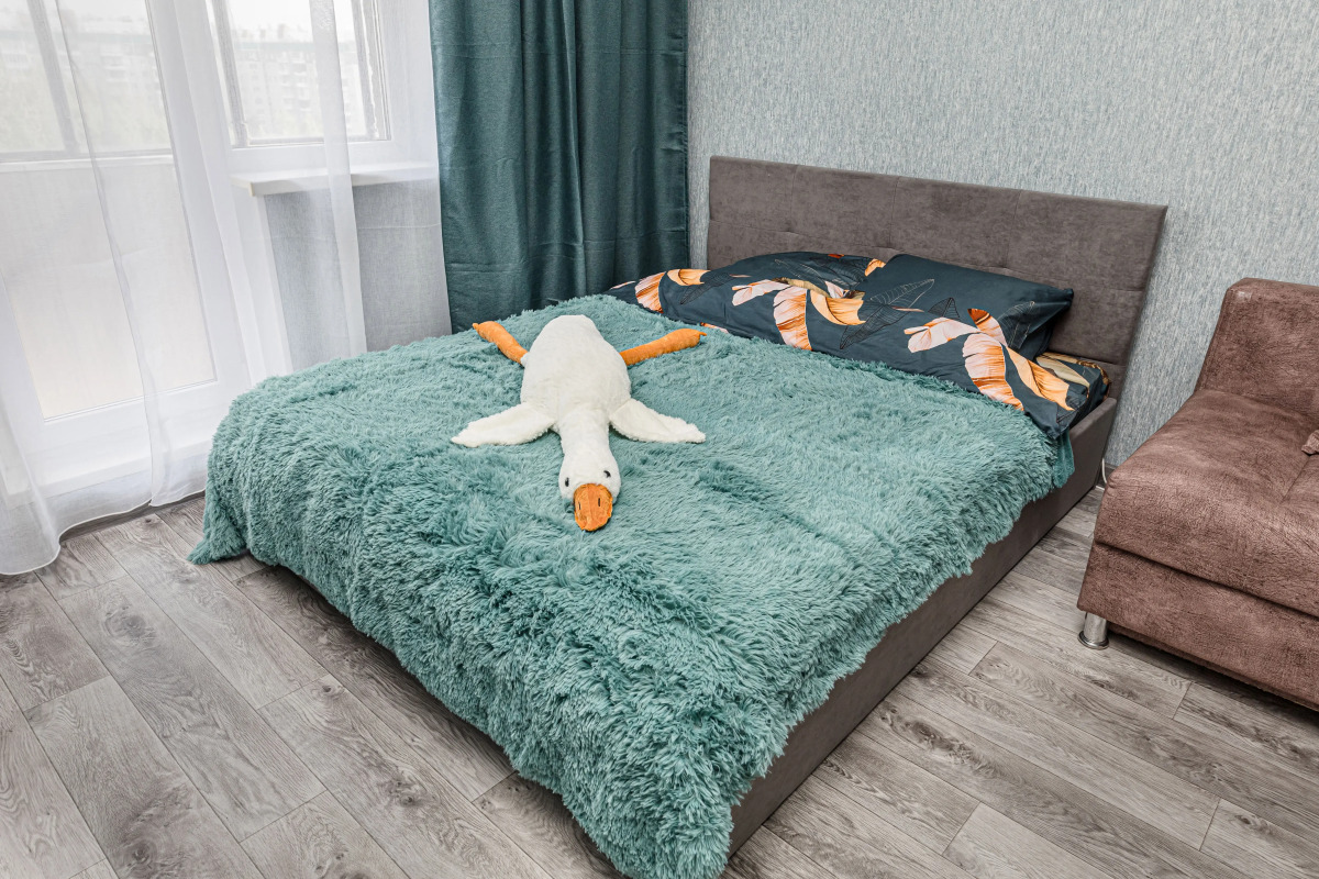 Квартира большая в центре Северо-Запада