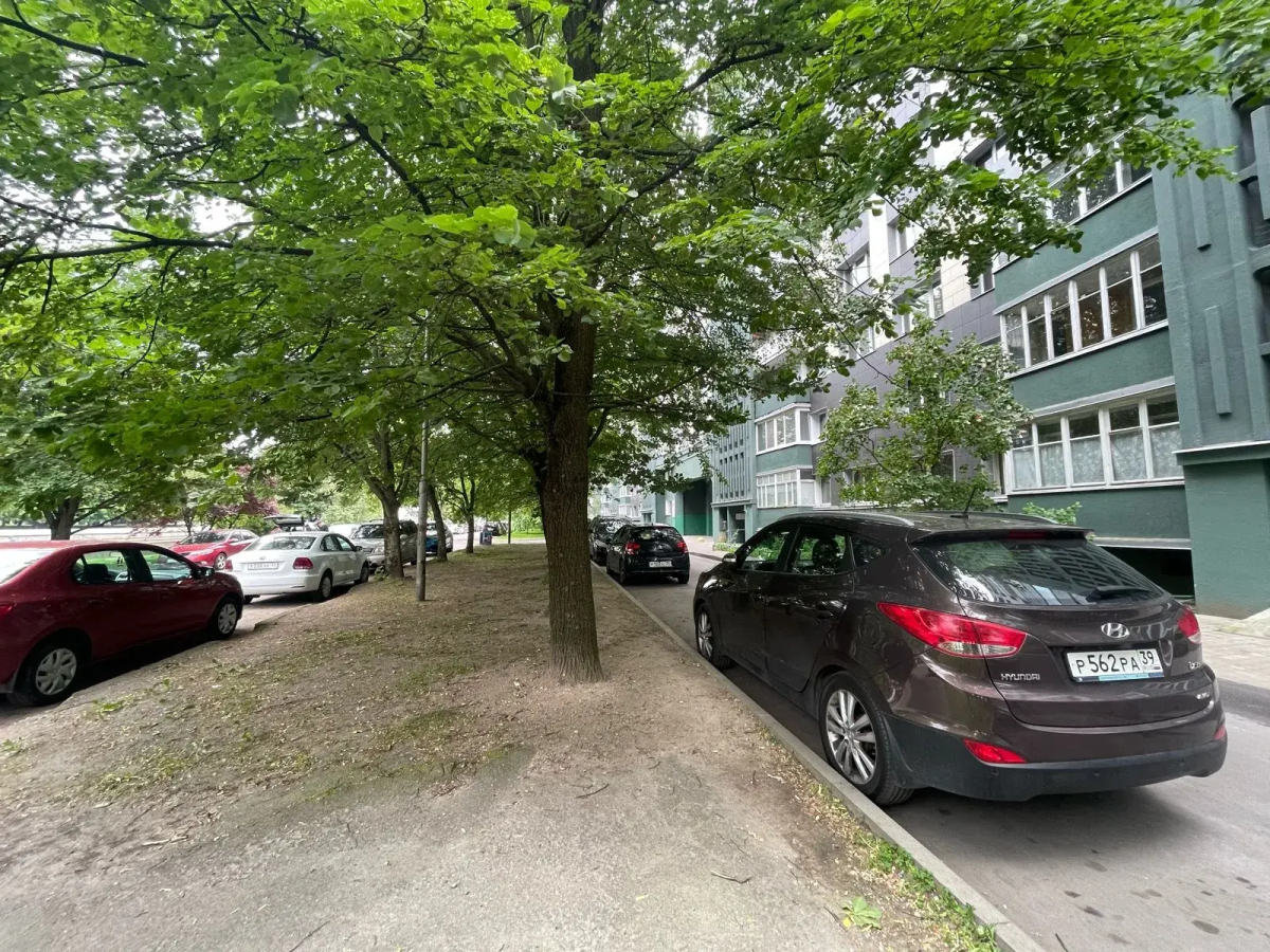 Апартаменты Старая Преголя