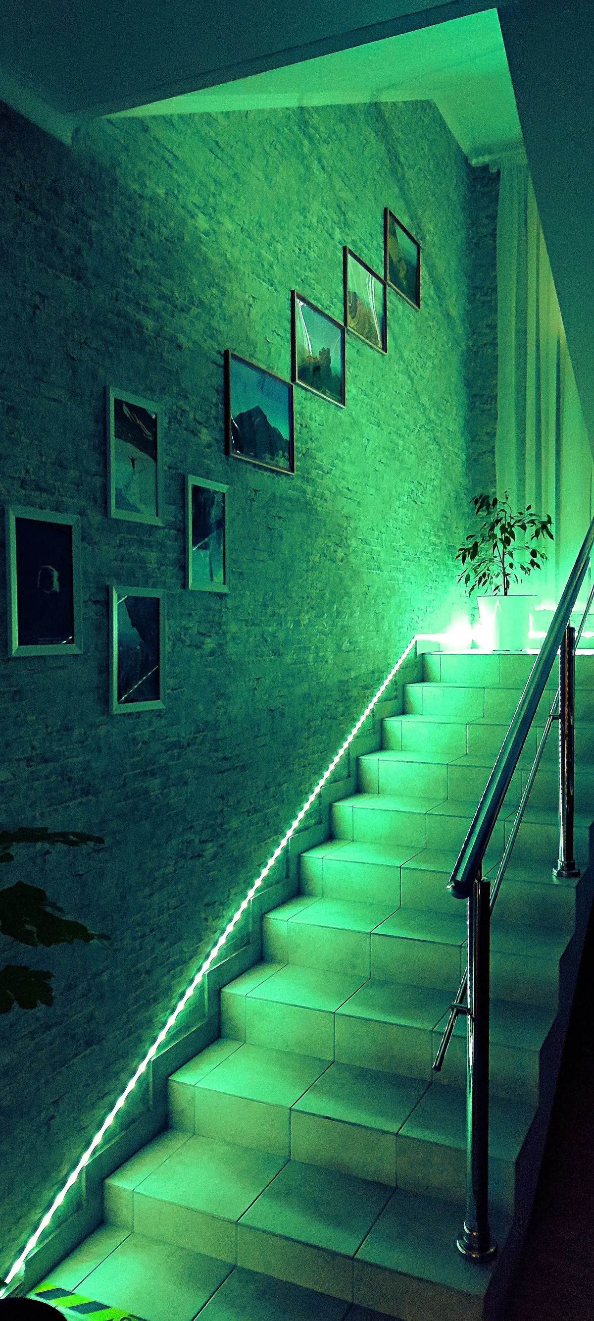 Гостевой дом Эко Хаус