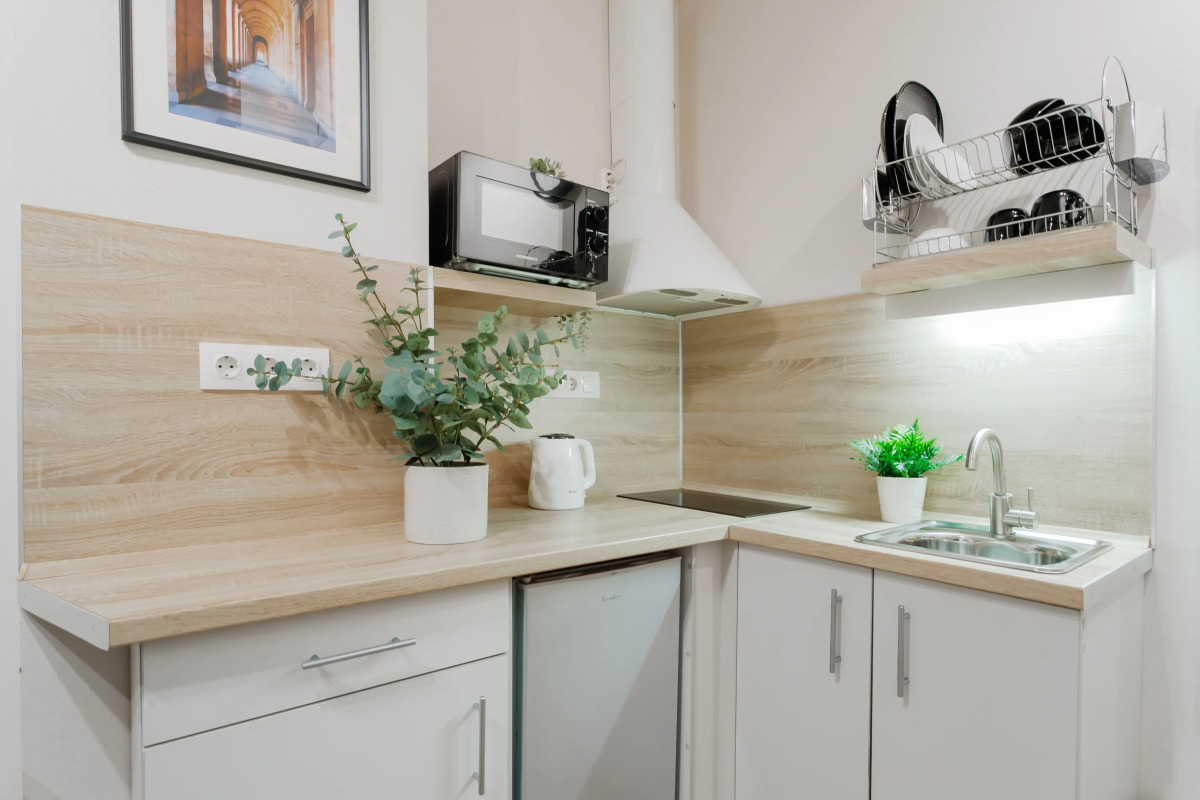 Апартаменты Монохромная Красноармейская