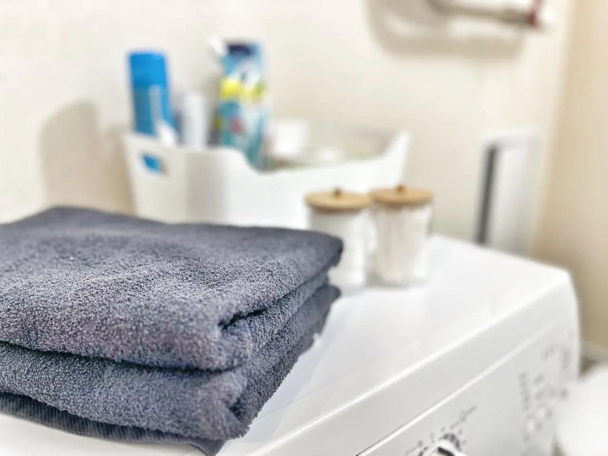 Квартира Елена Озерки