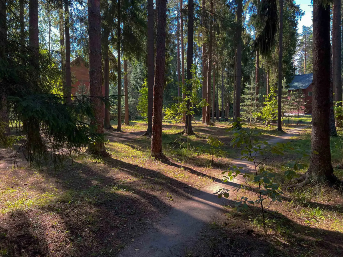 База отдыха Плещеево