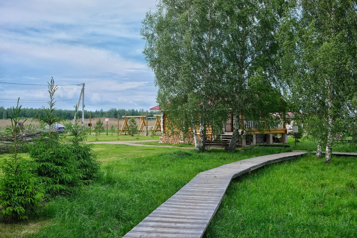 Гостевой дом Дикий Гусь