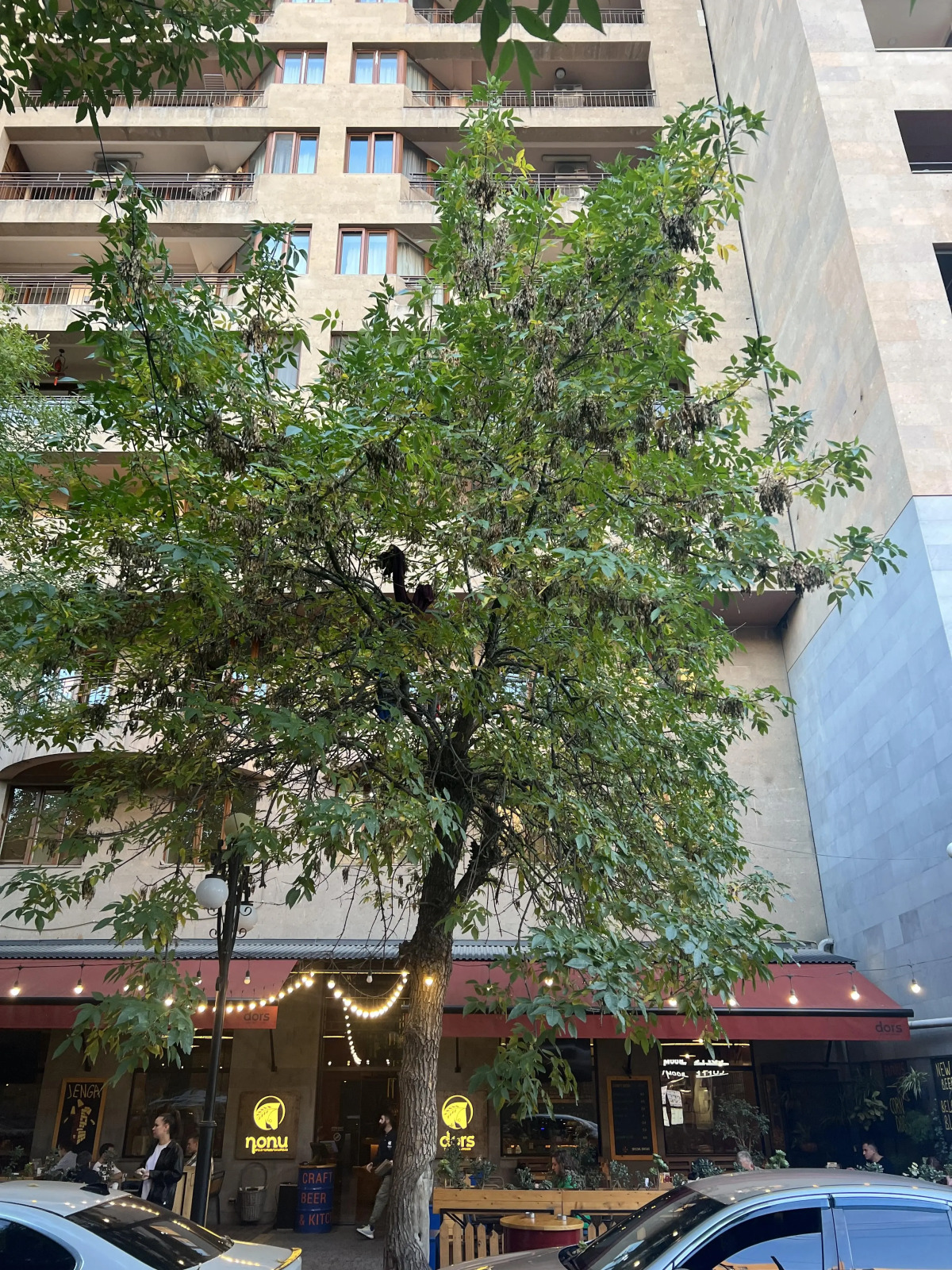 Апартаменты Студия с раздельными кроватями от Sweet Home