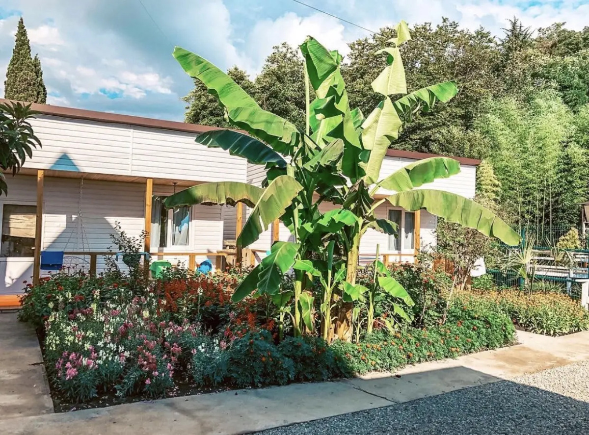 Гостевой дом «Big Fish»