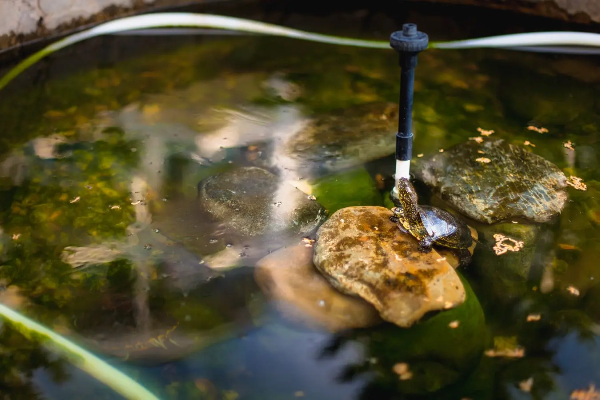 Гостевой Дом Аква-Солярис