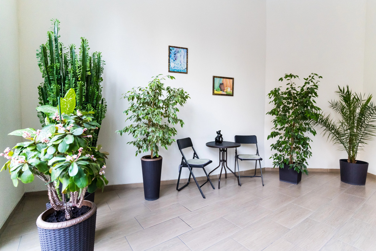 Апартаменты в Средиземноморском стиле от LetoApart