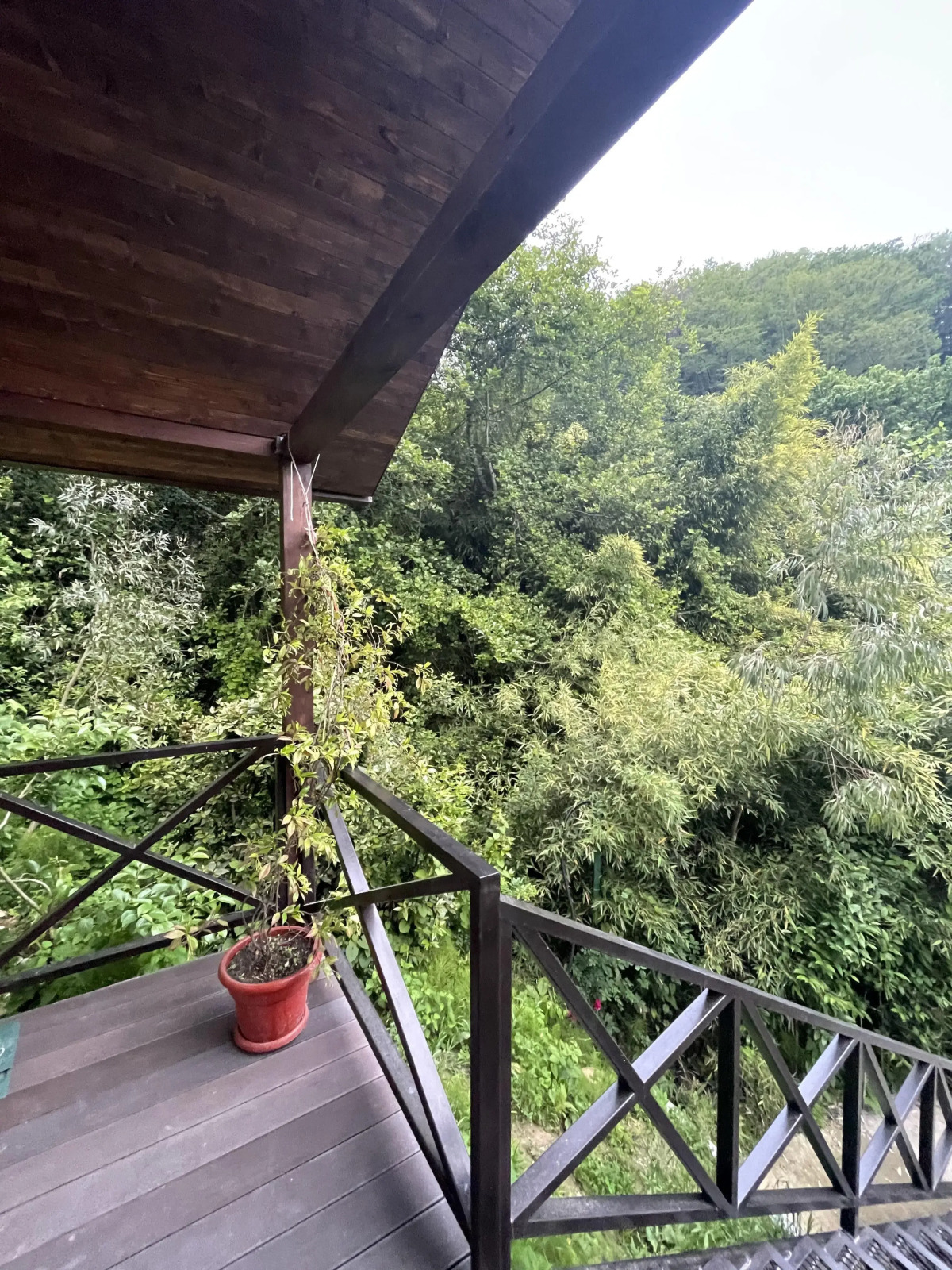 Шале ШалеSoVa