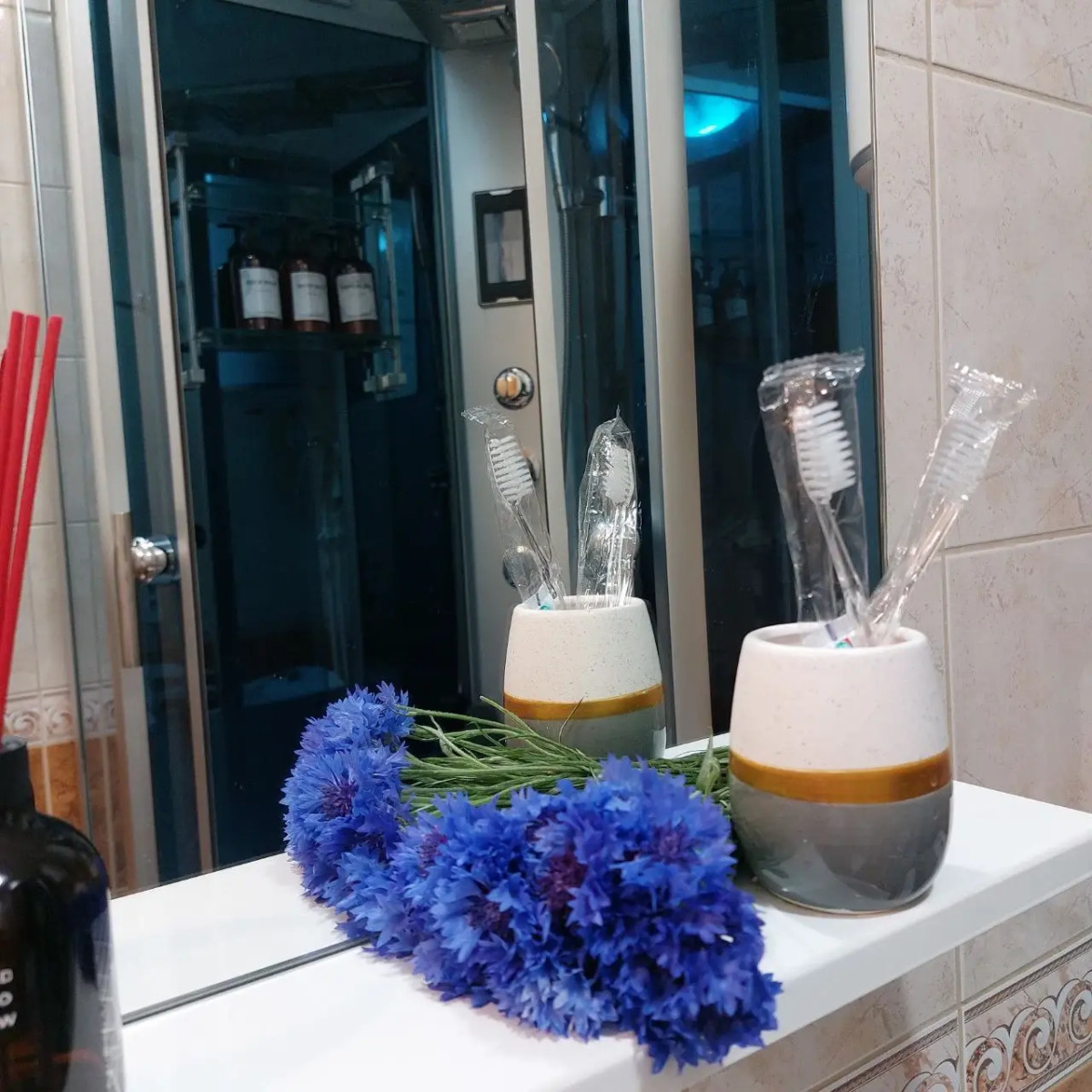 Квартира у Европы