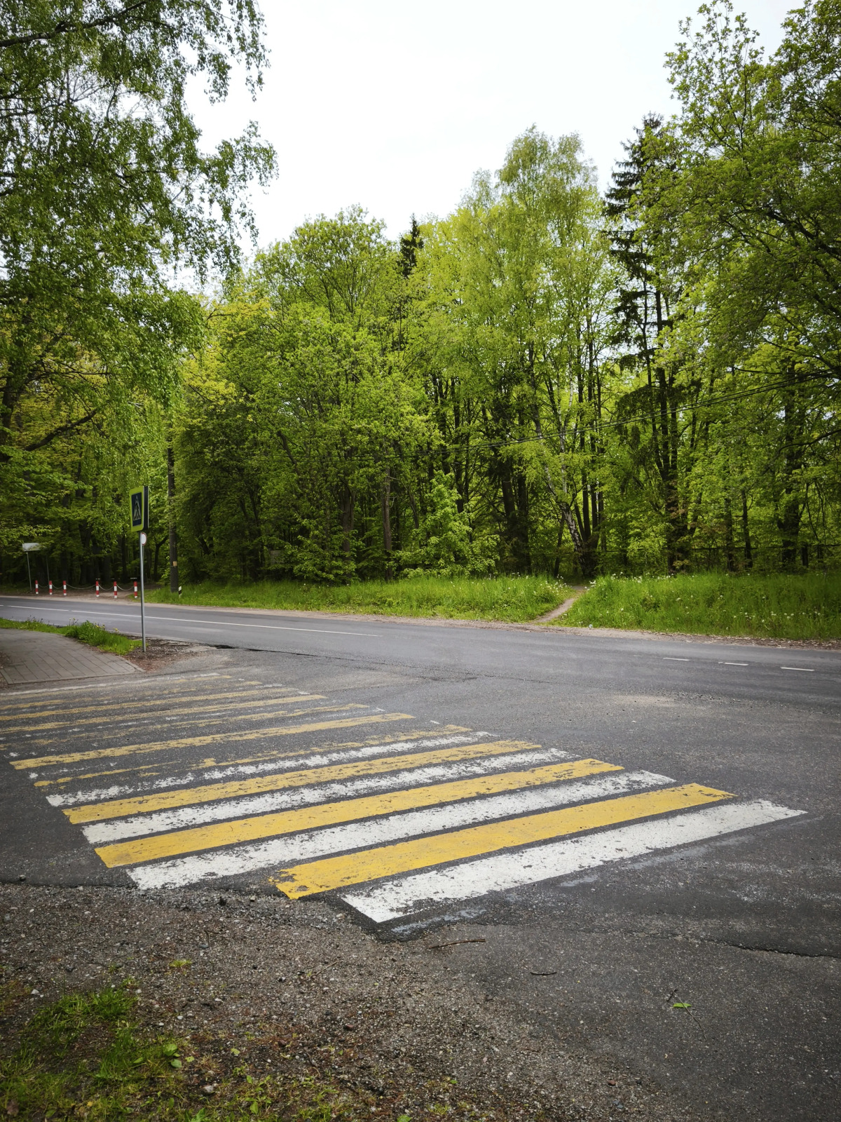 Апартаменты Serenity в окружении Реликтового Леса