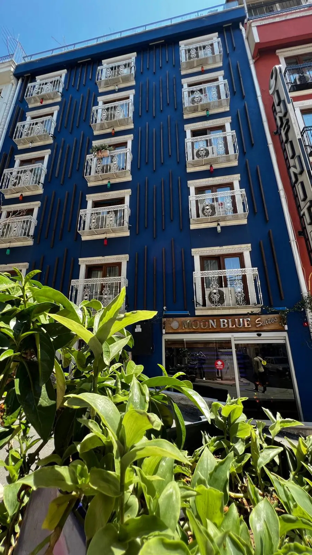 Отель Moon Blue