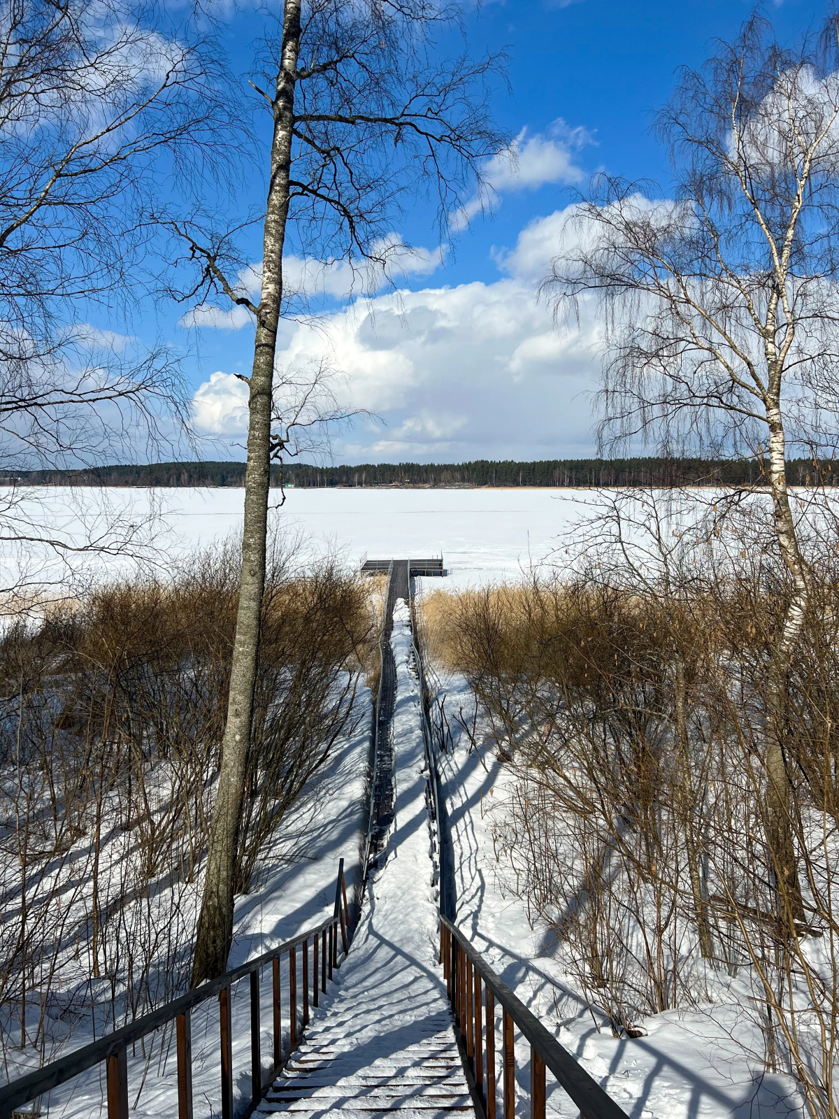 База Отдыха Загородный клуб Дача