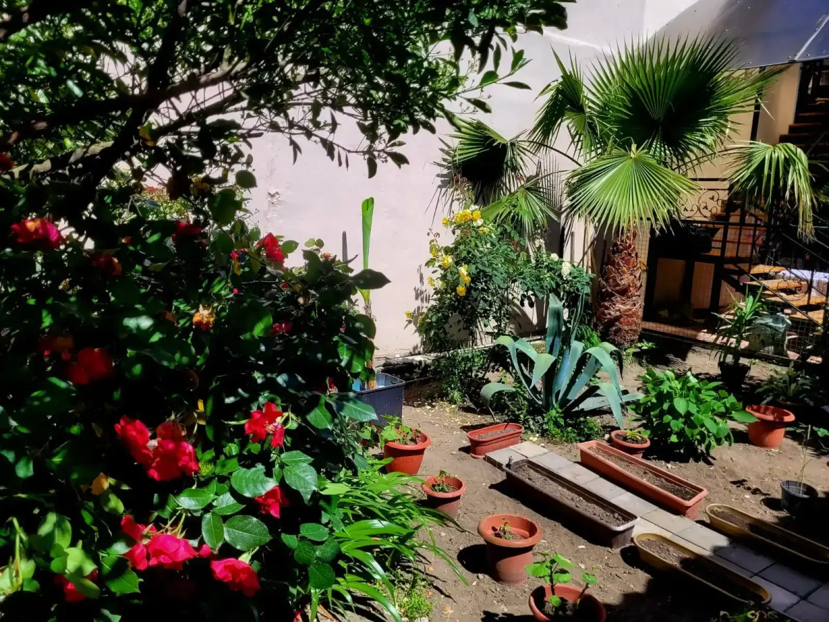 Гостевой дом Чайка