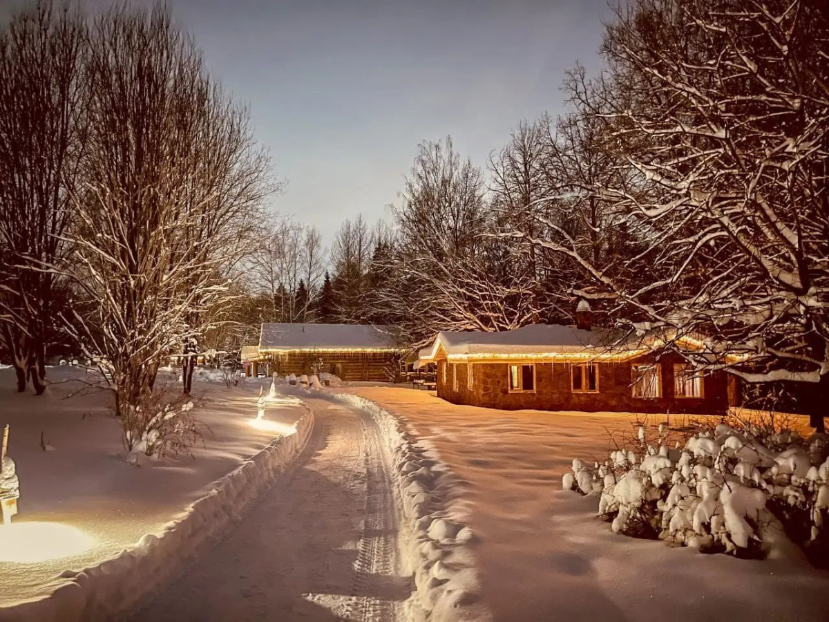 База отдыха Дубки