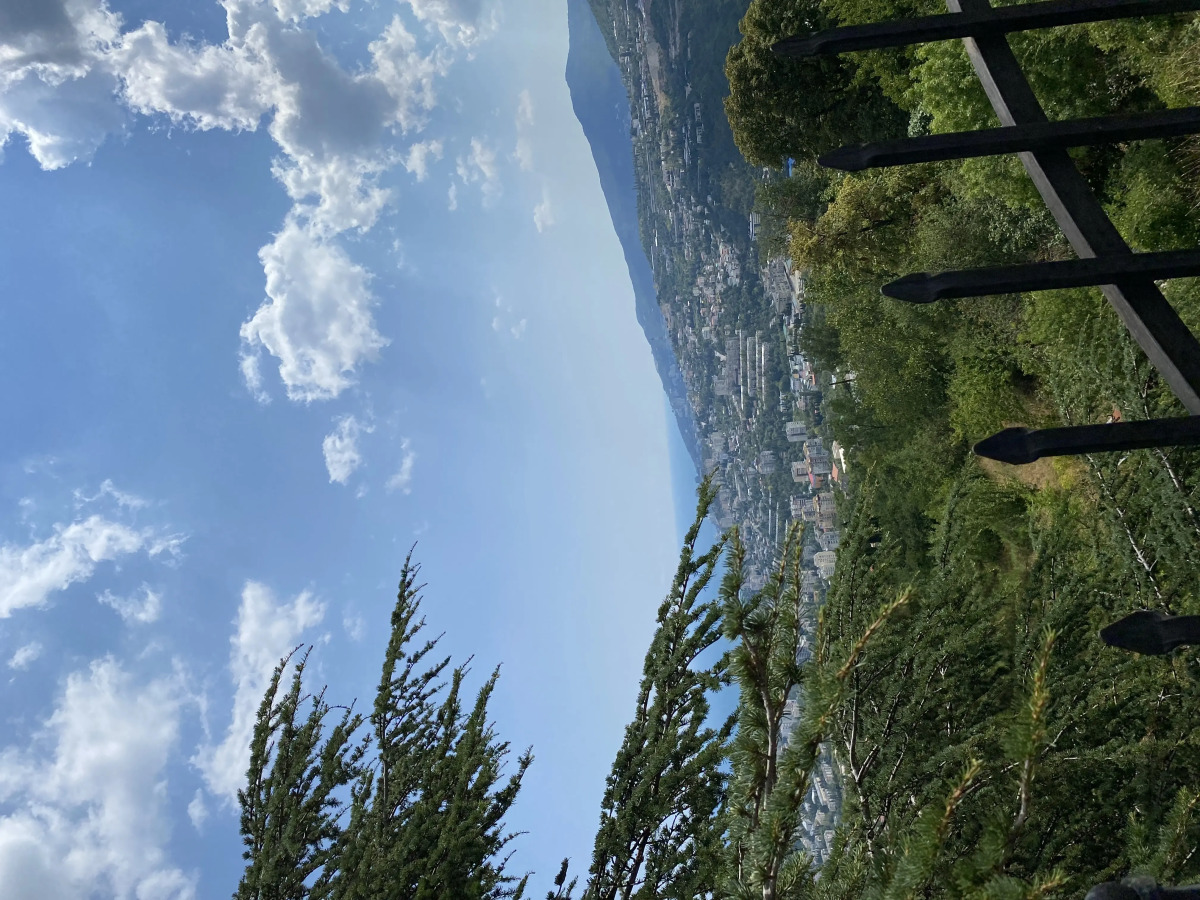 Гостевой дом Экодом Кедровый