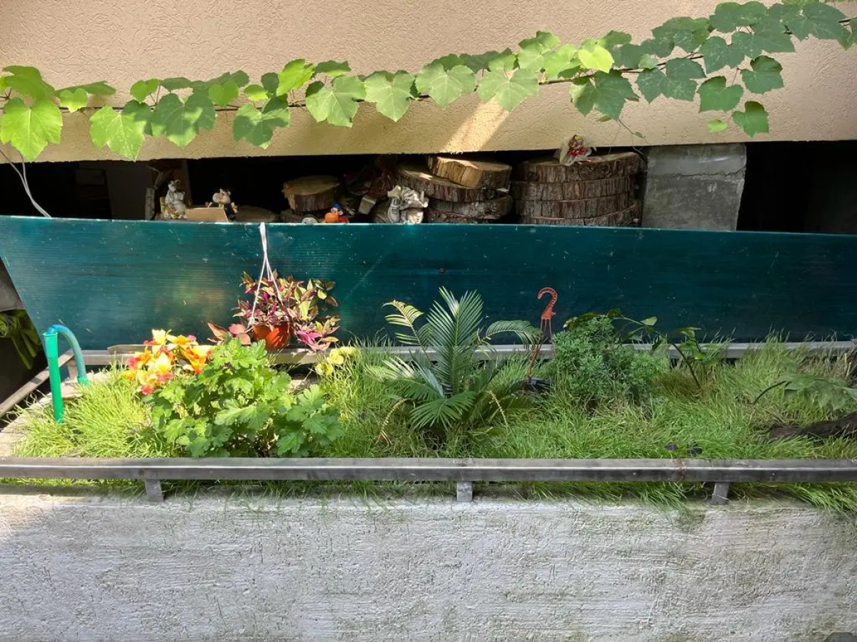 Kurortnyi Roman Guest House