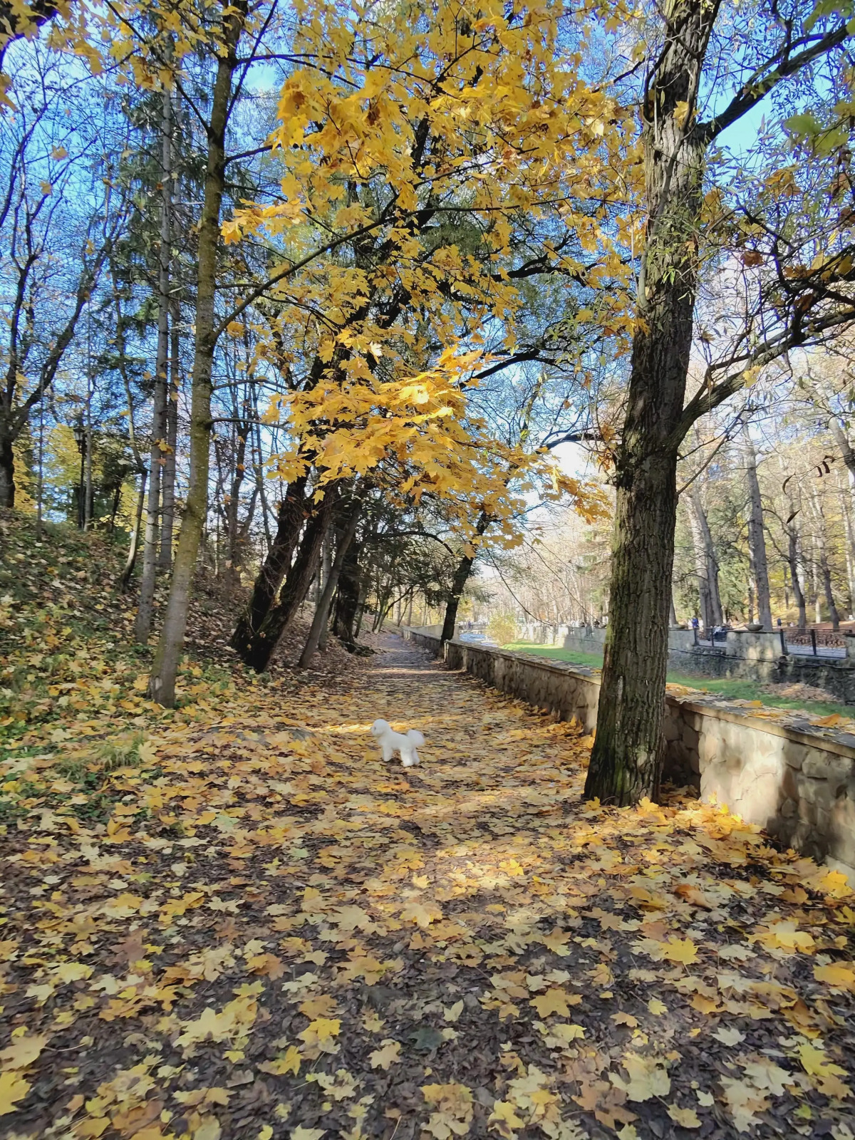 Апартаменты в парке у Стеклянной струи с видом на горы