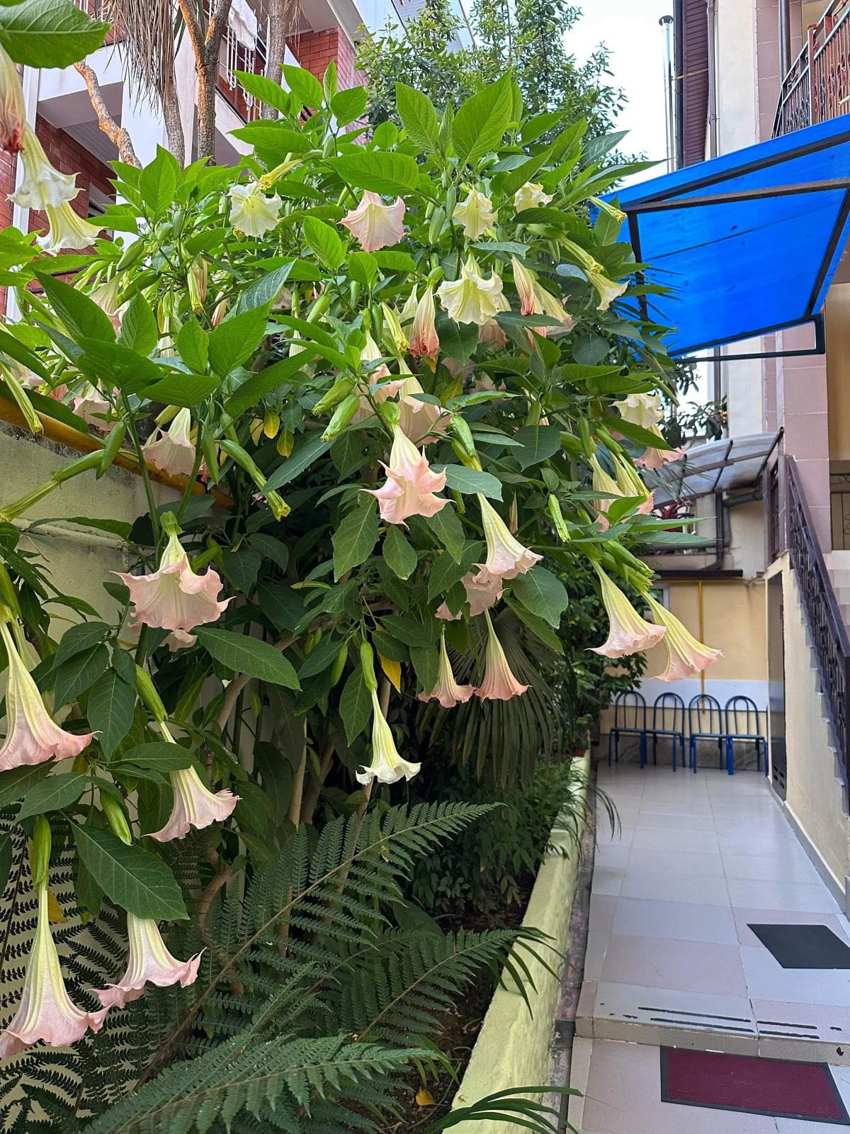 Гостевой дом Арго