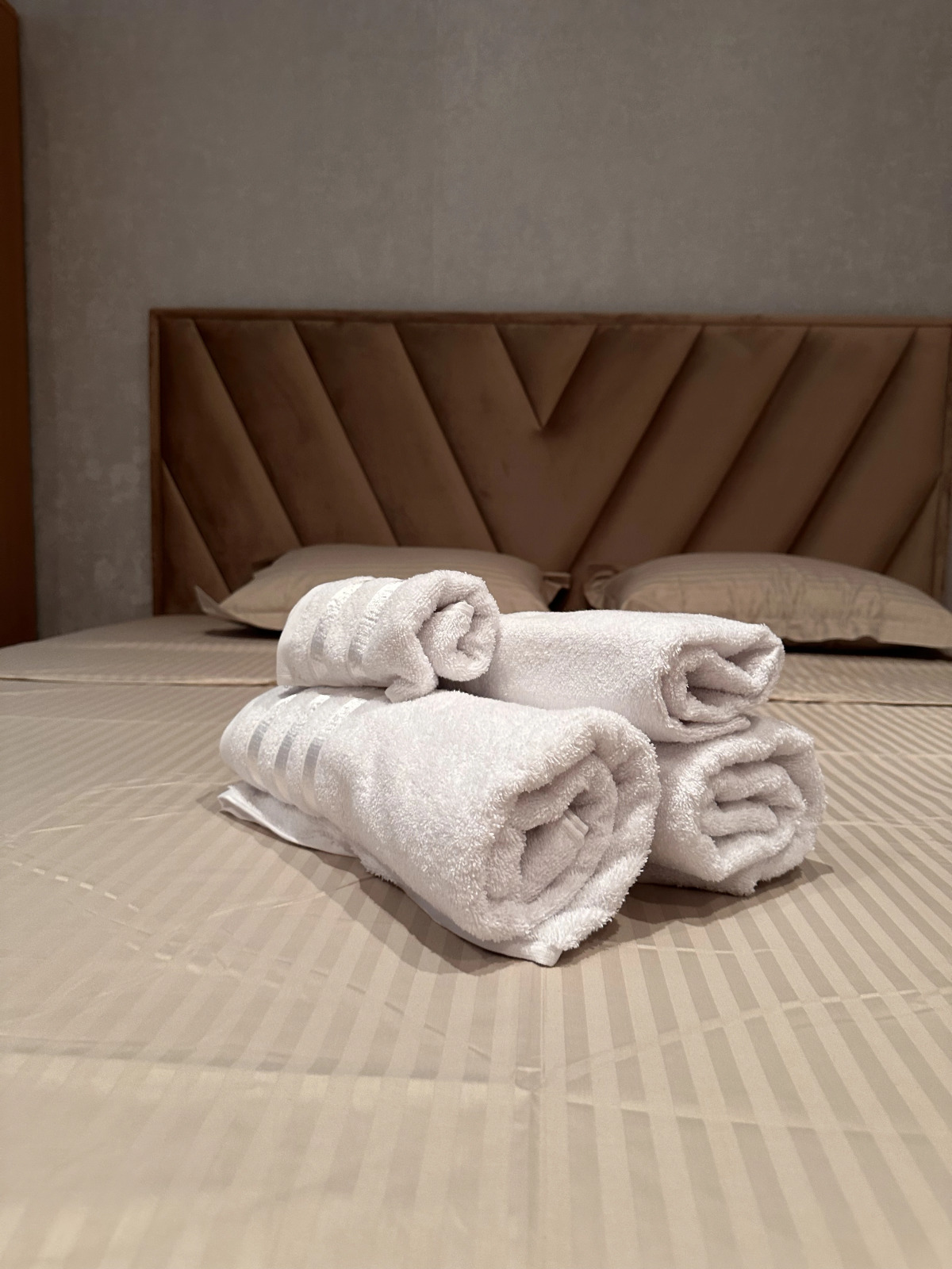 Отель Ревивал