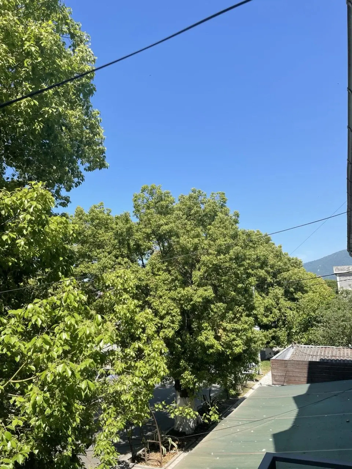 Квартира Уютная студия рядом с морем, в центре Гагры