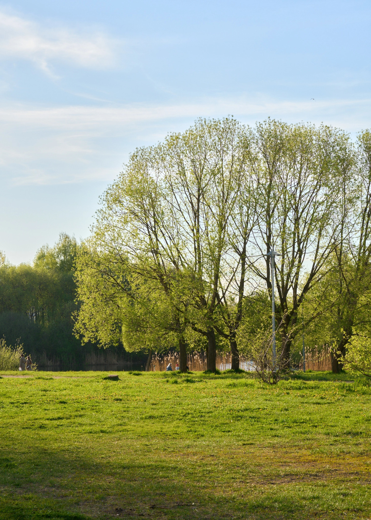 Квартира у Пулковского парка с панорамными окнами