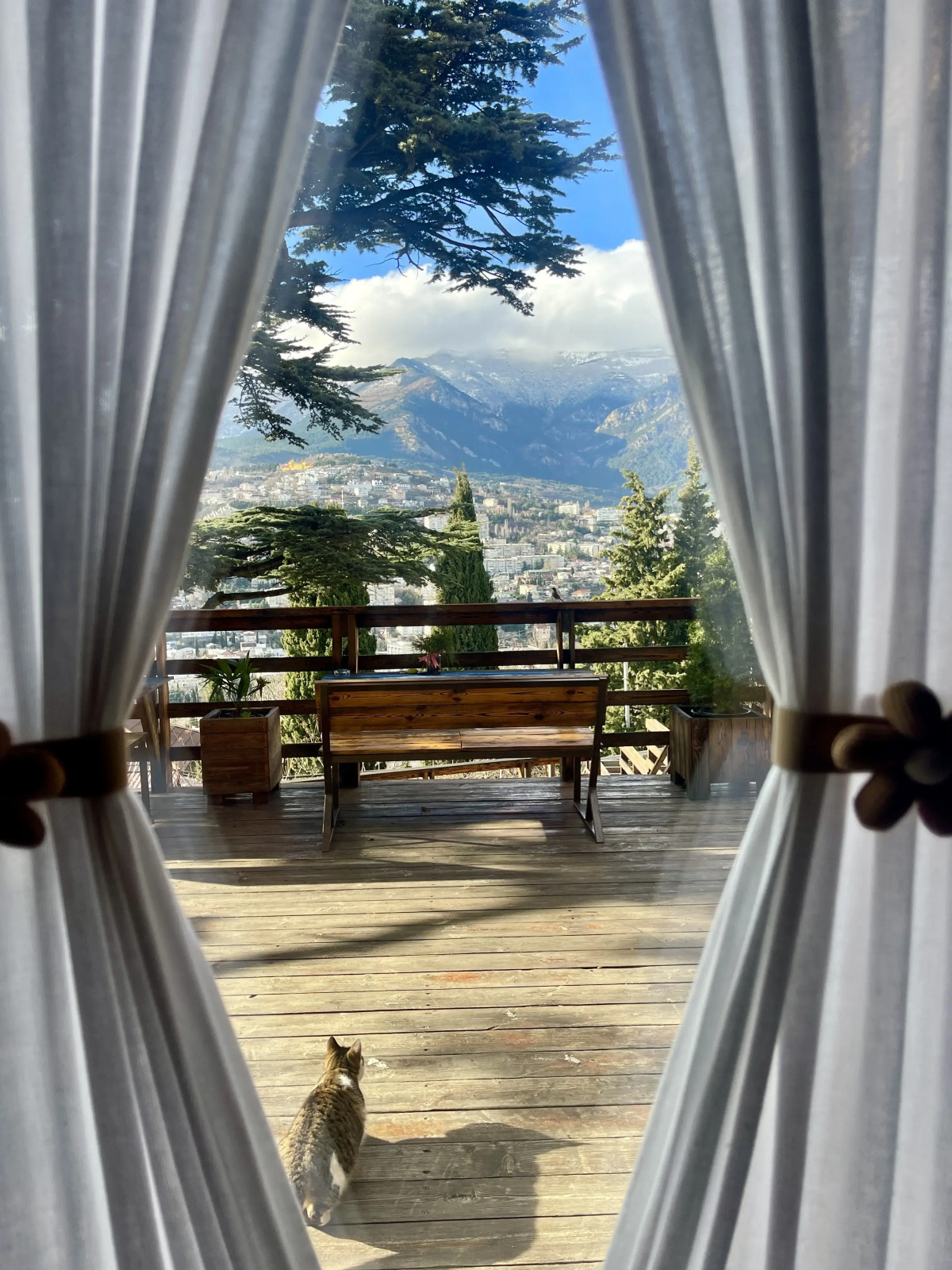 Гостевой дом Mister Tooker