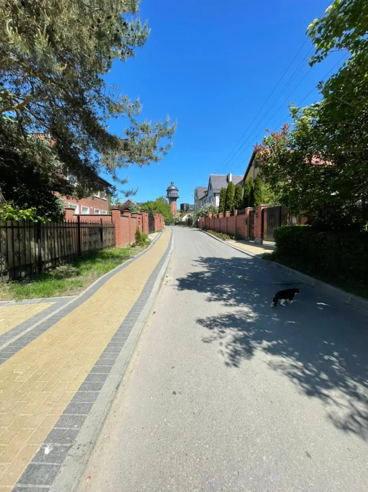 Гостевой дом Вито