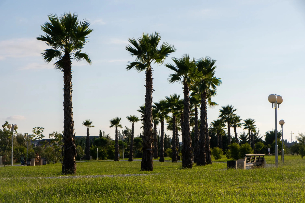 Апартаменты Red Apartments Си Сайд Песчаный