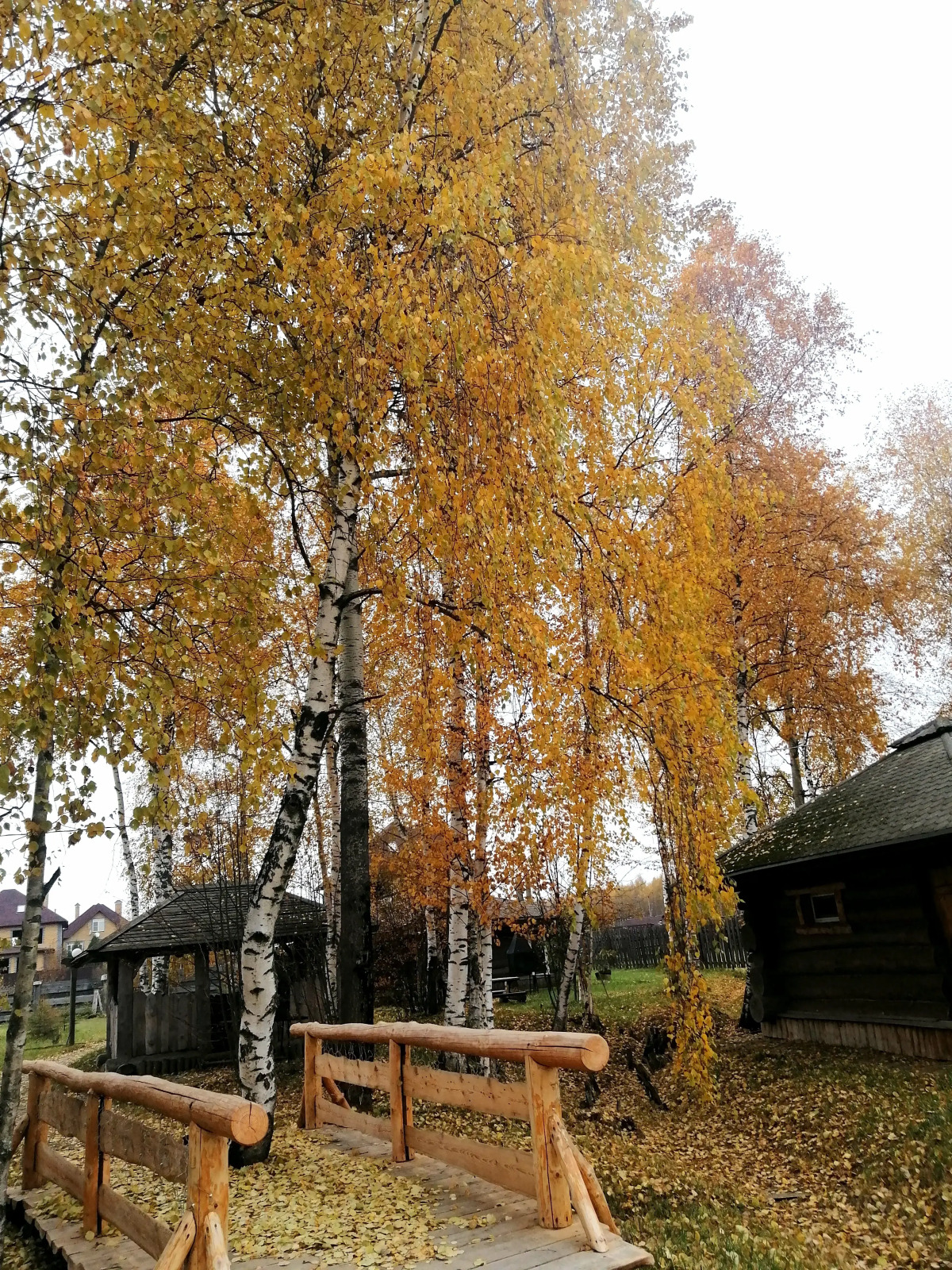 Гостевой дом Окулова Заимка