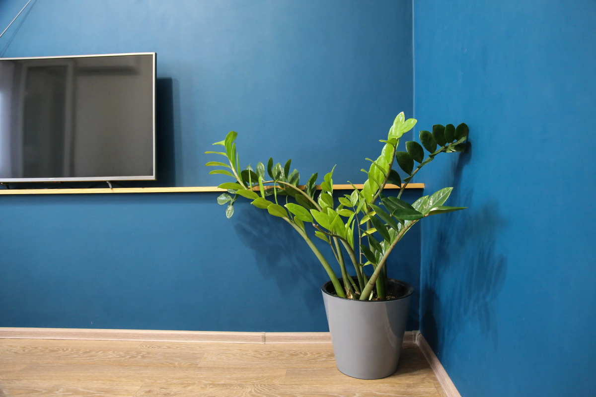 Квартира Как Дома