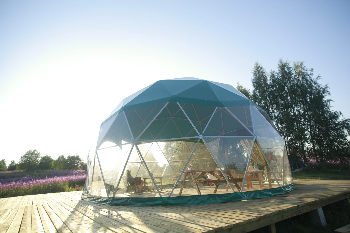 Глэмпинг Папоротник