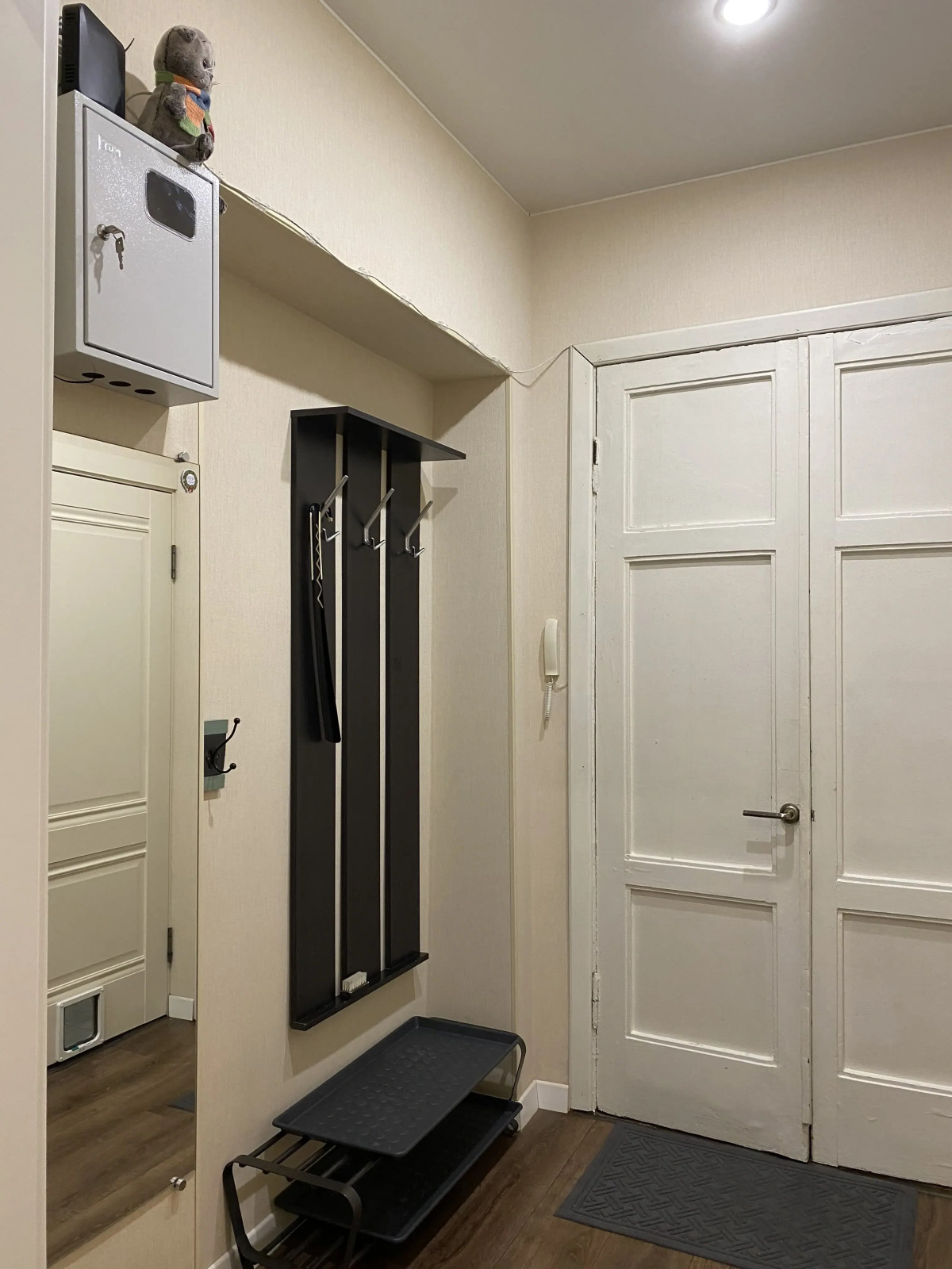 Квартира в центре Петербурга