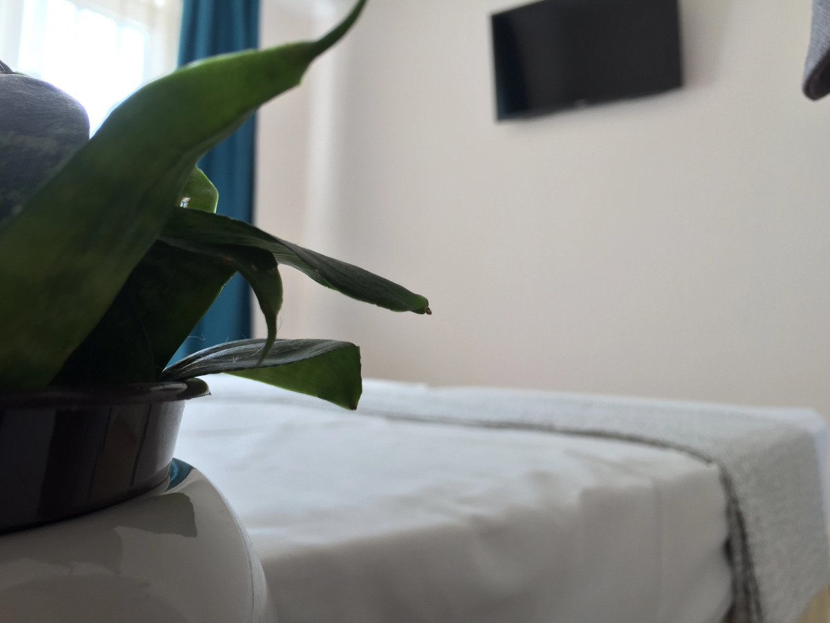 Гостевой дом Slava