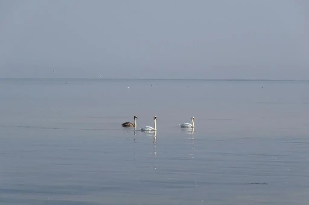 Квартира Лофт у Моря в Пионерском